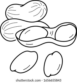 Peanuts. Georgia State symbol. Vector outline icon.