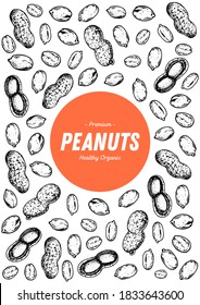 Peanuts hand drawn sketch. Nuts vector illustration. Organic healthy food. Great for packaging design. Engraved style. Black and white color.