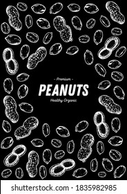 Peanuts hand drawn sketch. Nuts vector illustration. Organic healthy food. Great for packaging design. Engraved style. Black and white color.