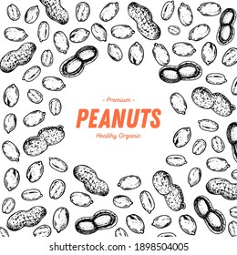 Peanuts hand drawn sketch. Nuts vector illustration. Organic healthy food. Great for packaging design. Engraved style. Black and white color.