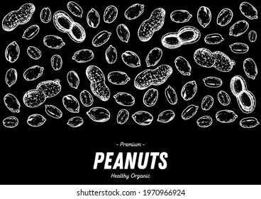 Peanuts hand drawn sketch. Nuts vector illustration. Organic healthy food. Great for packaging design. Engraved style. Black and white color.