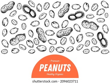 Peanuts hand drawn sketch. Nuts vector illustration. Organic healthy food. Great for packaging design. Engraved style. Black and white color.