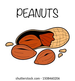 Peanuts in hand drawn style. Colored nuts isolated on white background in retro style.