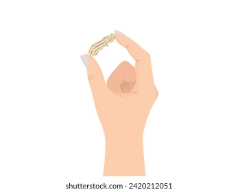 Maní en un puñado de fondo blanco.