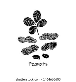 Peanuts icon set vector illustration