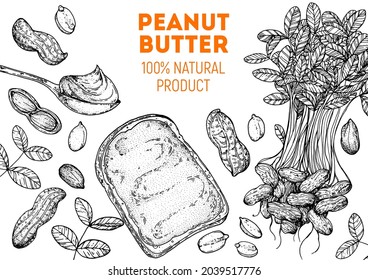 Peanuts and ingredient for peanut butter sketch. Hand drawn vector illustration. Design template. Vegan food. Peanut nut set.