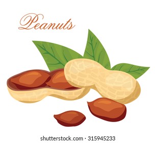 Peanuts isolated on white