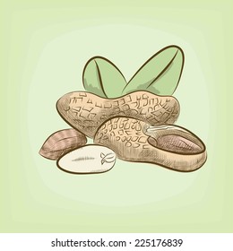 peanuts isolated vector set