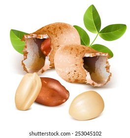 Peanuts with kernels and leaves. Vector illustration