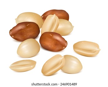 Peanuts with kernels. Vector illustration.