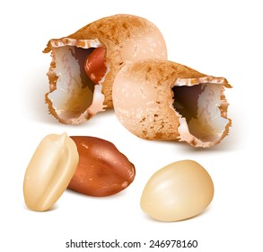 Peanuts with kernels. Vector illustration.