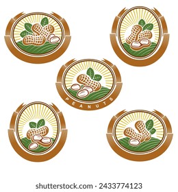 Peanuts label and icon set. Collection peanuts nuts icons. Vector