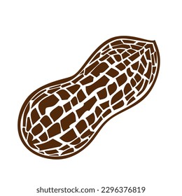 peanuts.  Latin name called Arachis hypogaea. brown.  vector illustration on a white background.