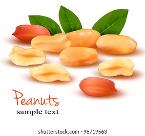 Peanuts with leaves. Vector illustration.