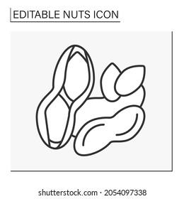  Peanuts line icon. Delicious and healthy snack. Nuts roasted with seasoning or peanut butter for sandwiches. Balanced nutrition. Nuts concept. Isolated vector illustration. Editable stroke