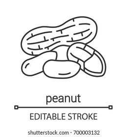 Peanuts linear icon. Thin line illustration. Contour symbol. Vector isolated outline drawing. Editable stroke