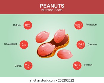 peanuts nutrition facts, peanuts with information, peanuts vector