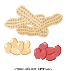 Peanuts, nuts isolated on white background vector illustration