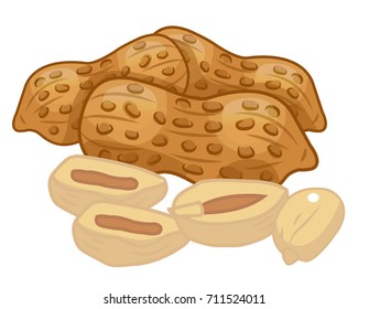 Peanuts, nuts, VECTOR