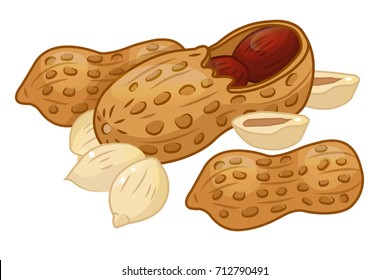 Peanuts, nuts, VECTOR