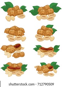 Peanuts, nuts, VECTOR