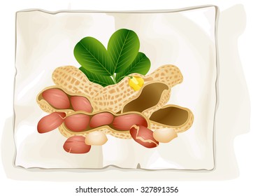 Peanuts on old paper