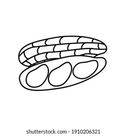 Golpe de contorno de cacahuetes. línea delgada, comida de diseño plano y concepto de granos completos. Vector, ilustración
