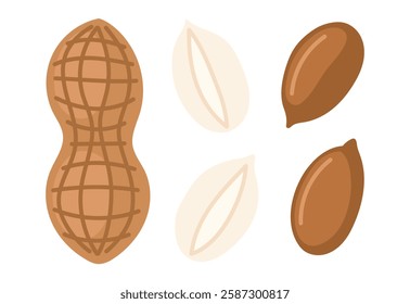 Peanuts. Peeled and unpeeled nuts. Nuts set. Peanut butter ingredient. Vegan food ingredients. Vector illustration isolated on white background