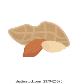 Peanuts in the pod and shelled, peanut beans are a popular snack vector illustration