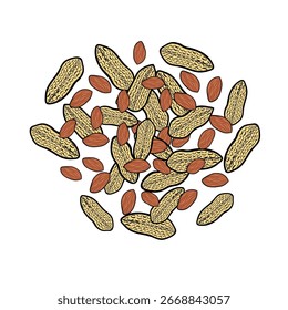 peanuts scattered on top vector illustration
