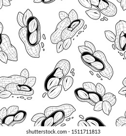 Peanuts seamless pattern in hand drawn style. Ink texture black and white sketch, linear retro style, nuts vector illustration isolated on white background.
