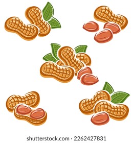 Peanuts set. Collection icon peanuts. Vector