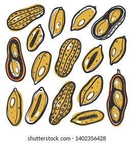 Peanuts set. Hand drawn colored vector illustration. Can be used for cafe, menu, shop, bar, restaurant, bakery, poster, sticker, logo, detox diet concept, farmers market