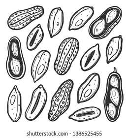 Peanuts set. Hand drawn vector illustration. Can be used for cafe, menu, shop, bar, restaurant, bakery, poster, sticker, logo, detox diet concept, farmers market