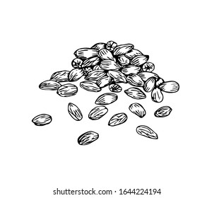 Peanuts set in line art style.