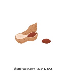 Peanuts in shell. Cracked nutshell of groundnut with fruit, kernel and whole dry goober nut in husk. Fresh crunchy food. Stylized flat vector illustration isolated on white background