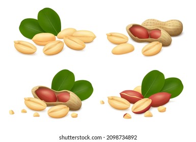 Peanuts in shell (open and whole), shelled kernels, seeds with red skin, crumbs and leaves. Isolated on white background. Realistic vector illustration. Side view.