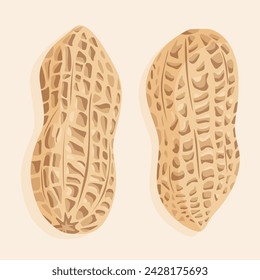 Peanuts in shell in two different shapes. Vector nuts icons.