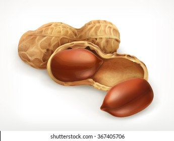 Peanuts in shell, vector icon