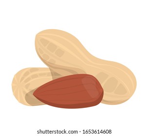 Peanuts in the shell vector isolated. Fresh vegetarian food, raw organic product. Healthy ingredient with a shell.