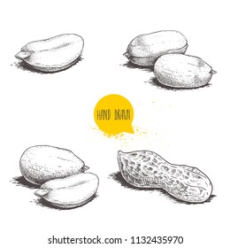 Peanuts sketch set. Hand drawn retro style vector illustrations of organic food. Seeds and shells. Single and group. Vintage engraving art. Isolated on white background.