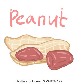 Peanuts with the skin open, revealing two red beans inside. Peanut skins have a natural fibrous texture, while peanuts themselves have a smooth and shiny surface.