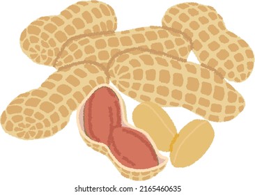 Peanuts are a type of nutritious edible beans. The shell has a constricted central part and a net-like surface.