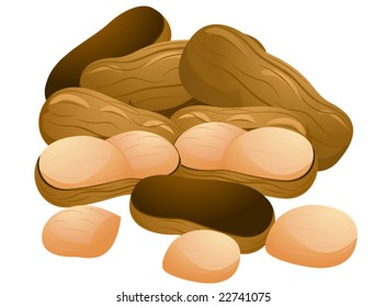 Peanuts - Vector