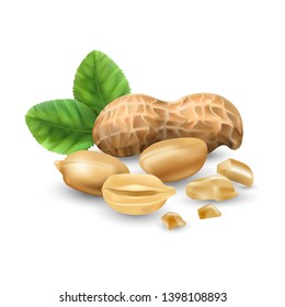 Peanuts in vector 3D illustration realistic. For packaging with peanut butter, nut mix. Vegetable protein for vegetarians, a useful product.