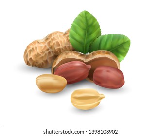 Peanuts in vector 3D illustration realistic. For packaging with peanut butter, nut mix. Vegetable protein for vegetarians, a useful product.