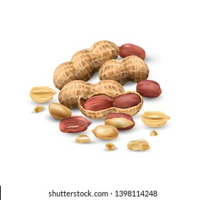 Peanuts in vector 3D illustration realistic. For packaging with peanut butter, nut mix. Vegetable protein for vegetarians, a useful product.