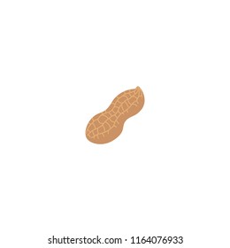 Peanuts vector flat icon