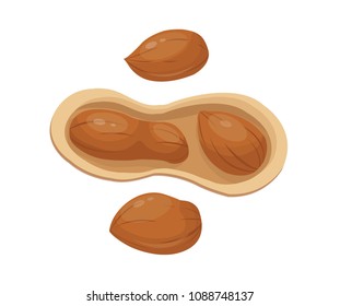 peanuts, vector illustration