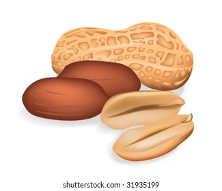 Peanuts - Vector Illustration